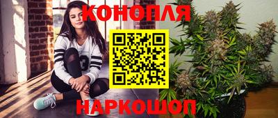 шишки Сланцы