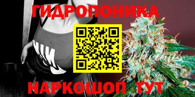 бошки Славянск-на-Кубани