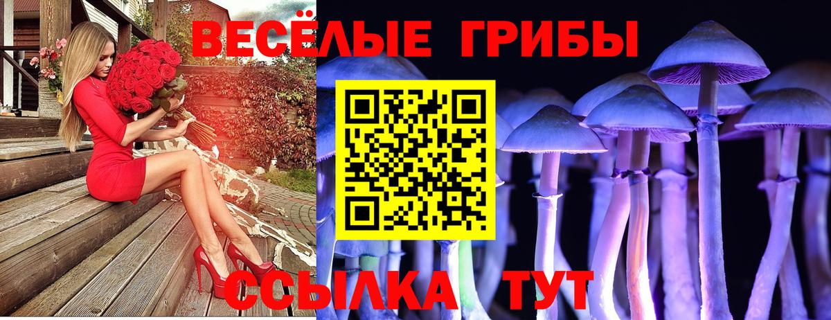 Полевской  Галлюциногенные грибы Psilocybine cubensis  Псилоцибиновые грибы мухоморы  Вход с VPN 